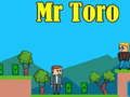 Spel Meneer Toro online
