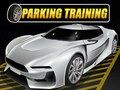 Spel Parkeer Training online