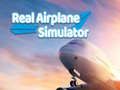 Spel Echte Vliegtuig Simulator online