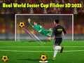 Spel Echte Wereldvoetbalbeker Flicker 3D 2023 online