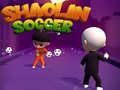 Spel Shaolin Voetbal online