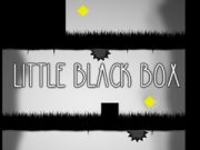 Spel  Kleine zwarte doos online