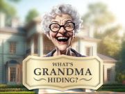 Spel Wat verstopt oma? online