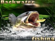 Spel Vissen in stilstaand water online