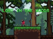 Spel Verdwaald in het Bos online