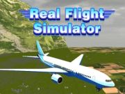 Spel Echte Vliegsimulator online