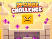 Spel Spons Uitdaging online