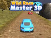 Spel Wilde Race Meester 3D online