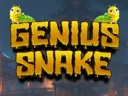 Spel Geniale Slang online