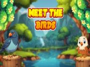 Spel Maak Kennismaking Met De Vogels online