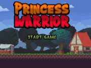 Spel Prinsesstrijder online