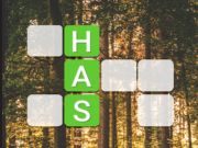 Spel Word Connect online
