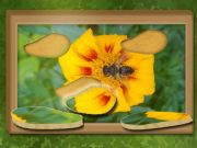 Spel Find & Restore: Hidden Puzzle online