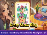 Spel Crazy Screw King online