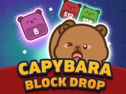 Spel Capybara -blokdruppel online
