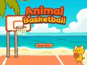 Spel Dierenbasketbal online