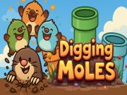 Spel Mollen graven online