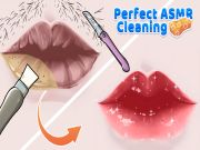 Spel Perfecte ASMR -reiniging online