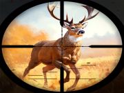 Spel Wild Hunting Clash online