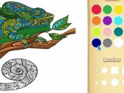 Spel Volwassen dierenkleurboek voor kinderen online