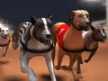 Spel Hondenraces online