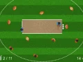Spel Quicket online Spel Quicket online