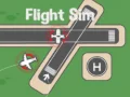 Spel Vliegtuigsimulator online