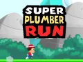 Spel Super Loodgieter Rennen online