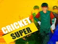 Spel Super Cricket online Spel Super Cricket online