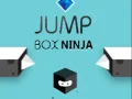 Spel Springdoos Ninja online