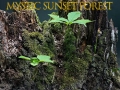 Spel Mystiek zonsondergangsfore online
