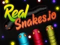 Spel Echte Slangen.io online
