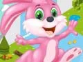 Spel Konijn Rennen online Spel Konijn Rennen online