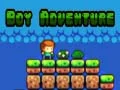 Spel Jongen Avontuur online