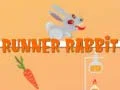 Spel Rennende Konijn online Spel Rennende Konijn online
