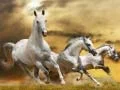 Spel Glijdende Hardlopende Paard online