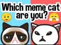 Spel Welke meme kat ben jij? online
