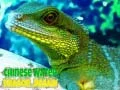 Spel Chinese Water Dragon Puzzel online Spel Chinese Water Dragon Puzzel online