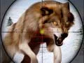 Spel Jacht op Wilde Dieren online