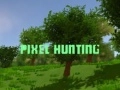 Spel Pixeljacht online Spel Pixeljacht online