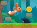 Spel Konijn Ben online Spel Konijn Ben online
