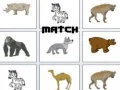 Spel Wedstrijd online Spel Wedstrijd online