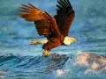 Spel Dieren Legpuzzel Arend online Spel Dieren Legpuzzel Arend online