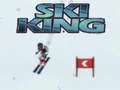 Spel Ski Koning online