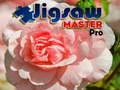 Spel Puzzelmeester Pro online Spel Puzzelmeester Pro online