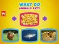 Spel Wat eten dieren? online Spel Wat eten dieren? online