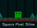 Spel Vierkante Pixel Slijm online