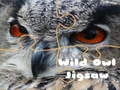 Spel Wild Uil Puzzel online Spel Wild Uil Puzzel online