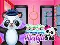 Spel Stoute Panda Levensstijl online