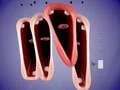 Spel Grappig Koor online